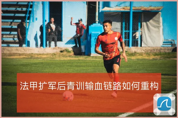 法甲扩军后青训输血链路如何重构