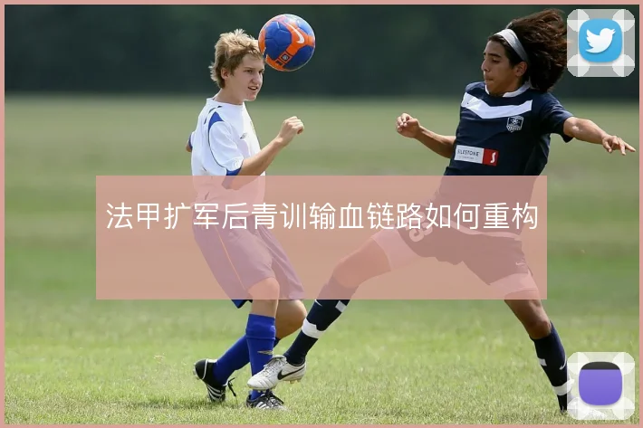 法甲扩军后青训输血链路如何重构