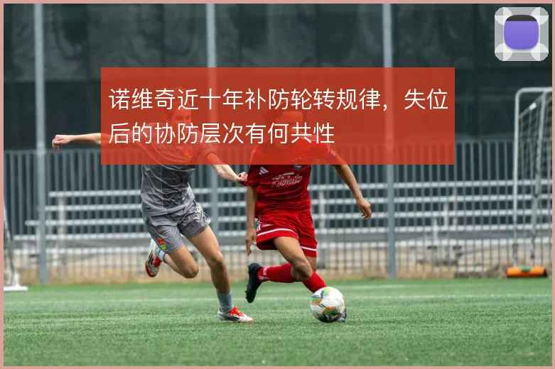 诺维奇近十年补防轮转规律,失位后的协防层次有何共性